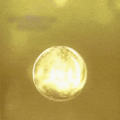 Espuma Nutritiva para Cabello