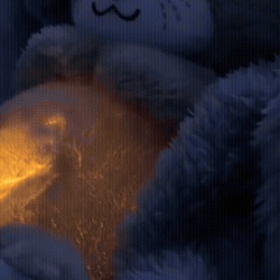 Nutria de Sueños Musical